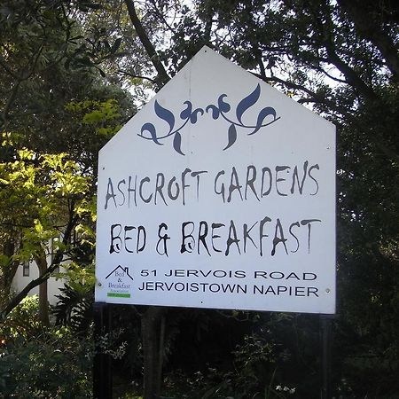 Ashcroft Gardens Bed & Breakfast Napier Eksteriør billede